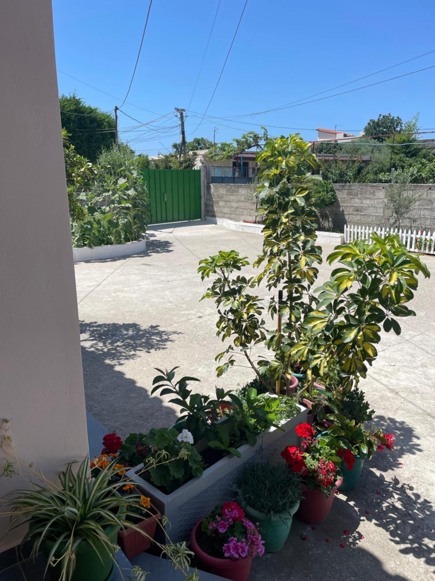 Rental Houses Dukaj Vlorë Extérieur photo